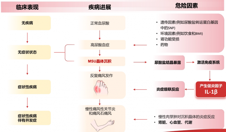 保护肾脏:痛风患者止痛药物的安全之选 保护肾脏:痛风患者止痛药物的安全之选